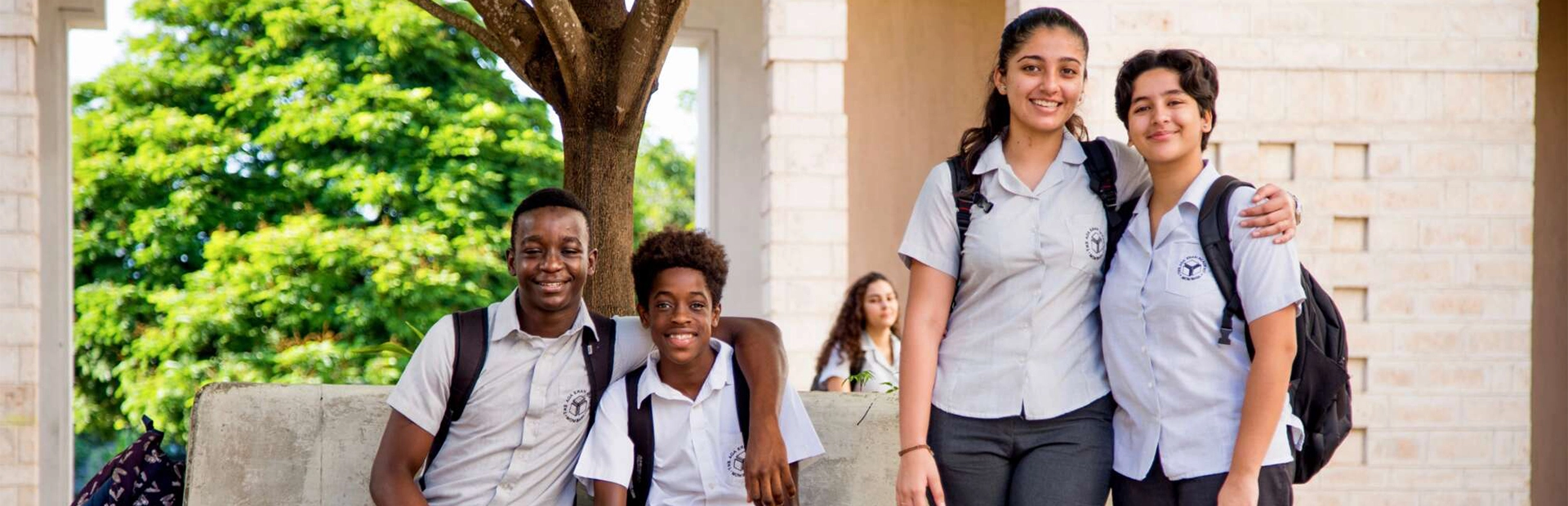  Four students interacting under the shade of a tree.