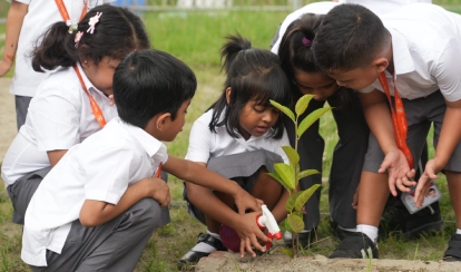 Children water a small plant together outdoors.